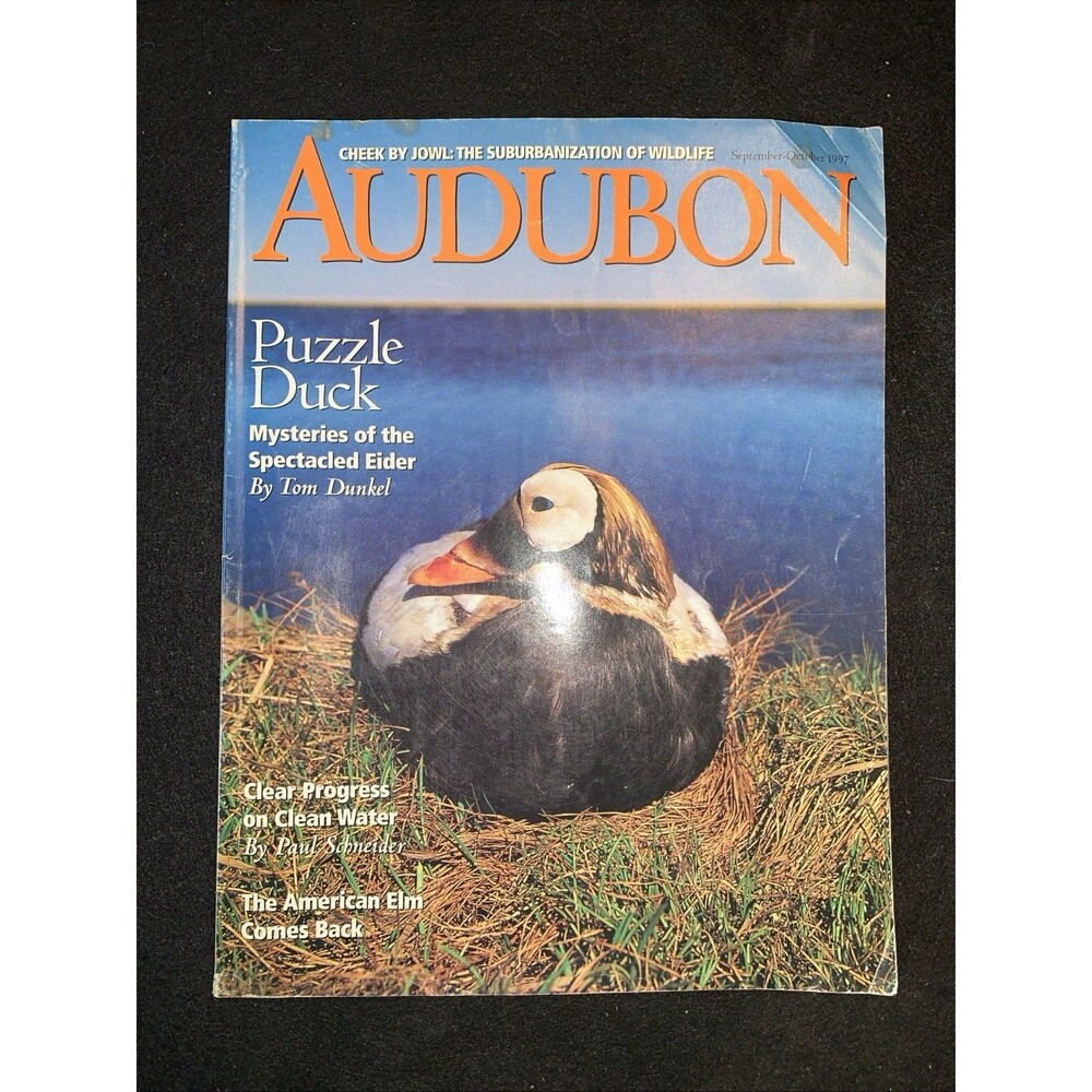 Audubon Magazine September/October Edition 1997 Ducks Elms Clean Water
